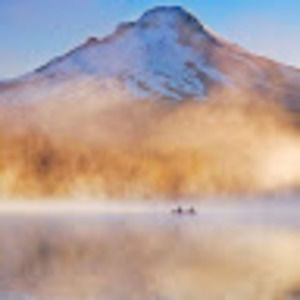 Meet your Posher, Brittney